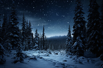 Fototapeta na wymiar Dark forest at night with moon light in the winter