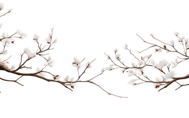 Branches Awaken Springs Flourishing Canopy on a White or Clear Surface PNG Transparent Background