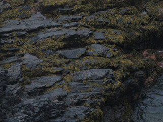 What an island tour can offer in terms of rocky landscape variety. Bretagne (West of the country); focusing on eroded rocky formations.