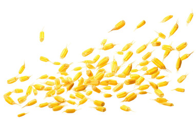 Corn Seeds Aerial Wind Dance on a White or Clear Surface PNG Transparent Background