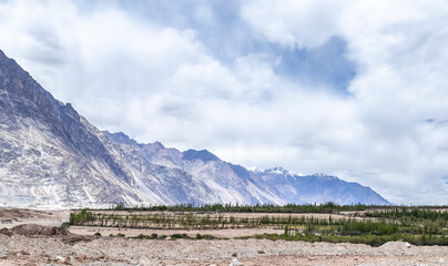 Fototapeta premium Mountains and thriving agriculture in perfect harmony.