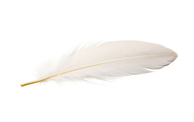 Lightness of Being Natures Plume on a White or Clear Surface PNG Transparent Background