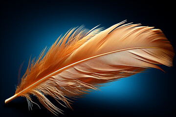 A  depiction of a feather with fine, realistic details.