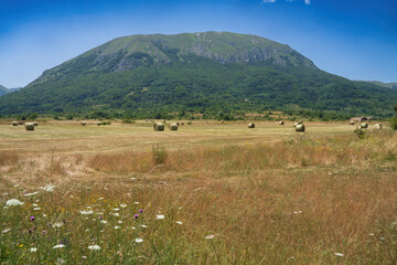 Fototapeta premium Rural landscape in the Altopiano delle Rocche, Abruzzo, Italy