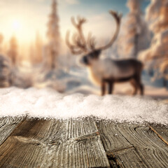 Desk of free space cover of snow and frost with natural landscape of forest. 