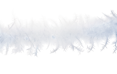 Frosty Snow Winters Cold Embrace on a White or Clear Surface PNG Transparent Background