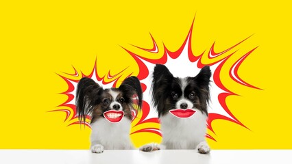 Two purebred little dogs with female mouth, lips looking against yellow background. Contemporary...