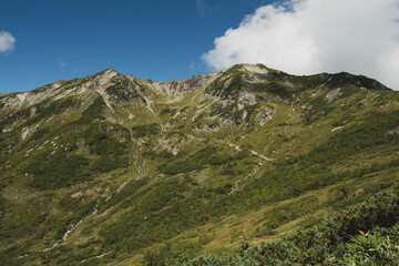 夏の山