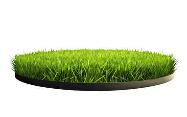 Circular Greenery Surface Adorned with Grass on a White or Clear Surface PNG Transparent Background