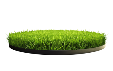 Circular Greenery Surface Adorned with Grass on a White or Clear Surface PNG Transparent Background