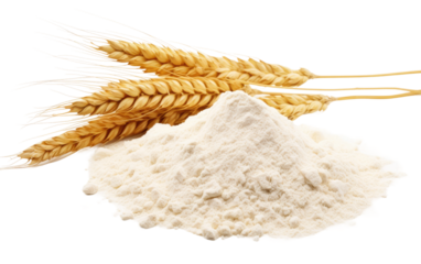 Culinary Foundation White Wheat Flour on a White or Clear Surface PNG Transparent Background