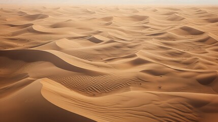 Fototapeta na wymiar oasis sand desert landscape illustration mirage nomad, wilderness horizon, barren dry oasis sand desert landscape