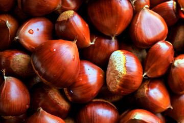 Chestnuts Background