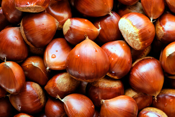 Chestnuts Background