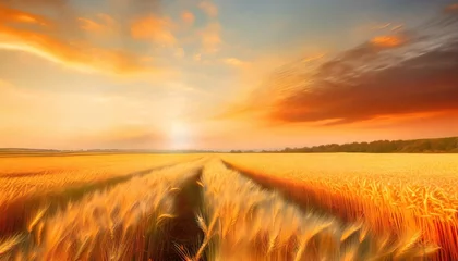 Foto op Canvas 壮大な麦畑のイラスト © yu_photo