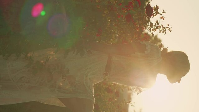 A silhouette of a woman in a white lace dress posing in the beautiful rose field
