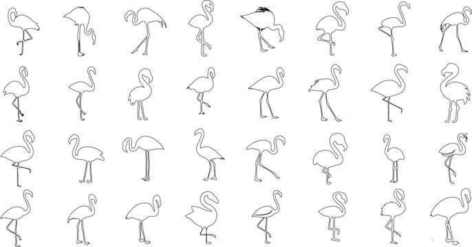 Flamant, oiseau, art lin&eacute;aire, illustration, motif sans couture, vecteur, tropical, exotique, nature, faune, animal, zoo, &eacute;t&eacute;, plage, rose, flamants, troupeau, groupe, debout, marchant, volant