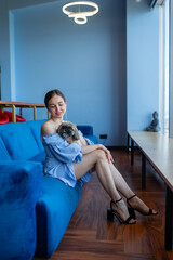 Brunette office worker plays with shih tzu of colleague in firm. Office manager spends pastime near...
