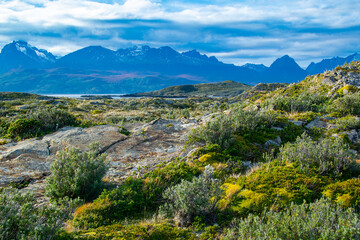 Tierra del fuego island landscape, argentina