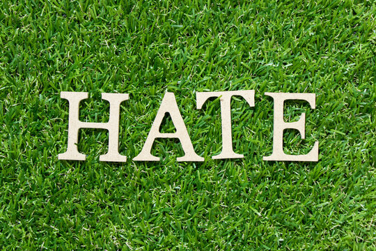 Wood letter in word hate on green grass background
