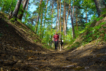 Obraz premium Serene Walk in the Woods. A girl walks with her beloved dog in the forest