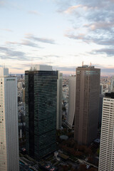 Panorámica de rascacielos y edificios en la ciudad de Tokio, Japón