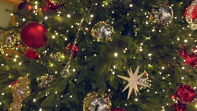 christmas tree 크리스마스 트리 성탄절