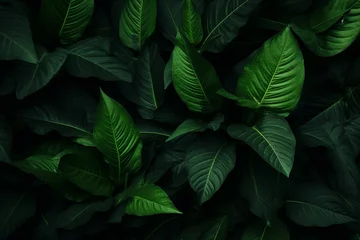 Foto op Plexiglas Dark green leaves top view. Generative ai © allasimacheva