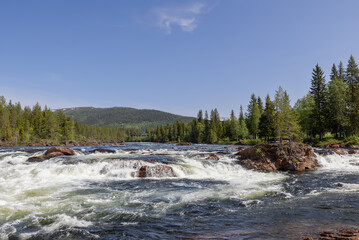 Summer day view of Namsen River in Namsskogan, Trondelag, Norway, displaying swift cascades and...