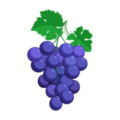 cartoon grapes fruit alphabet G