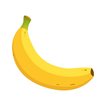 Cartoon banana fruit alphabet B vector