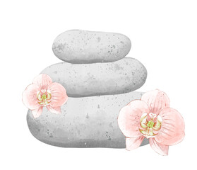 Fototapeta na wymiar Aromatherapy, composition with orchid flowers and stones for massage. Concept healthy lifestyle, skin care, spa treatments. Hand drawn illustration isolated on white background