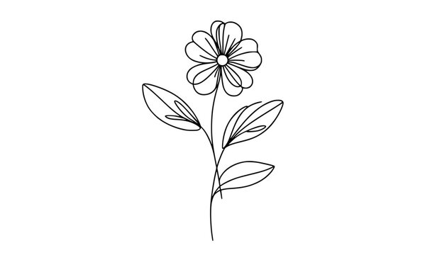Single flower minimalist line drawing
