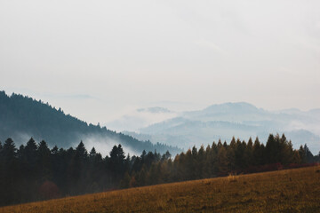 Obraz premium Mountain landscape with fog