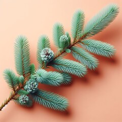 pine branch with cones
