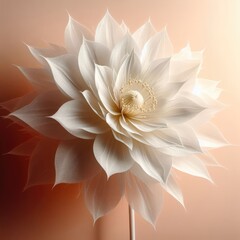 white lotus flower background