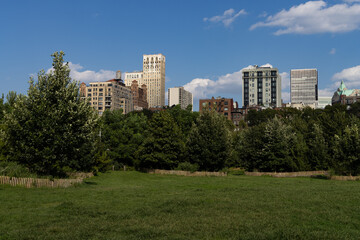 Obraz premium Brooklyn Heights Park with Green Grass and a Neighborhood Skyline View during Summer in New York City