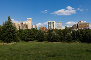 Fototapeta na wymiar Brooklyn Heights Park with Green Grass and a Neighborhood Skyline View during Summer in New York City