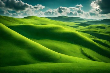 A sea of green grass on small undulating hills, under a clear blue sky.