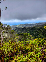 Kuliouou Trail on the Hawaiian island of Oahu - 692608581