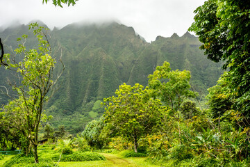 Koolau Mountain Range on the Hawaiian island of Oahu - 692608586