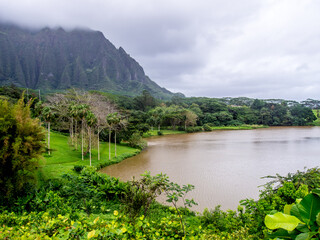Waokele Pond in Hoomaluhia Botanical Garden on the Hawaiian island of Oahu - 692608595
