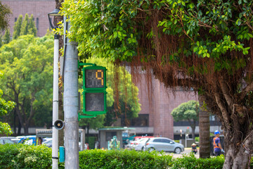Fototapeta premium Taiwan, Taipei, unique, pedestrian signal lights, little green men, traffic lights