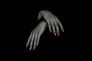 Hanging limply bony pale female hands of vampire with sharp red nails, isolated on black.