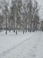 winter in the park
