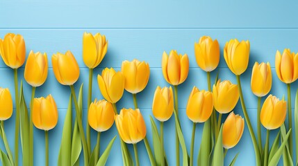 a group of yellow tulips on a blue background - obrazy, fototapety, plakaty