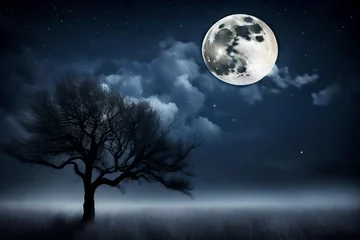 Crédence de cuisine en verre imprimé Pleine Lune arbre moon in the night