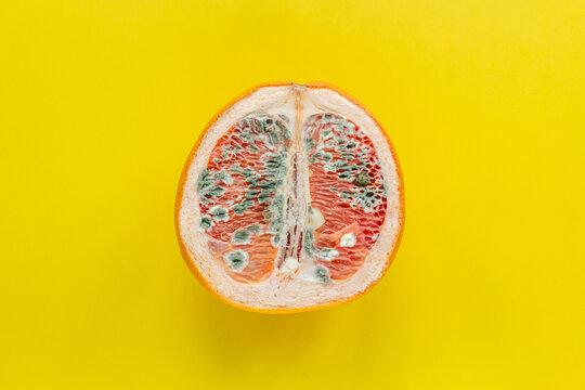 The concept of vaginal disease: venereal diseases, Vaginal yeast infection, Syphilis. Orange with mold on a yellow background