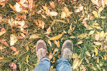 Two legs in jeans and sneakers on green grass and fallen autumn yellow and orange leaves - 692623388