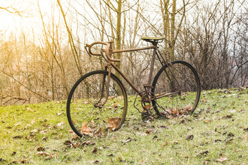 Very old iron rusty bike stands on the green grass and autumn yellow fallen leaf at sunset, the...